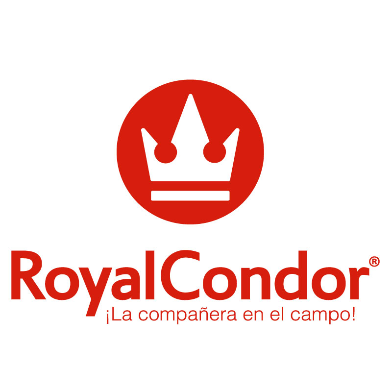 Royal-Condor_blanco